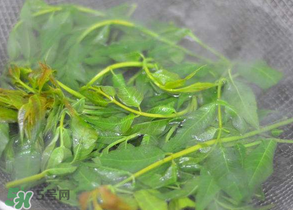 香椿為什么要焯水？香椿怎么焯水？