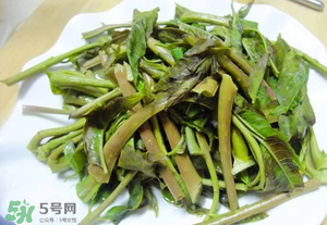 香椿為什么要焯水？香椿怎么焯水？