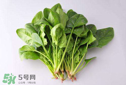 孕婦可以吃菠菜嗎？孕婦菠菜吃多了會怎樣？