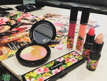 mac2017夏季fruity juicy系列有哪些？