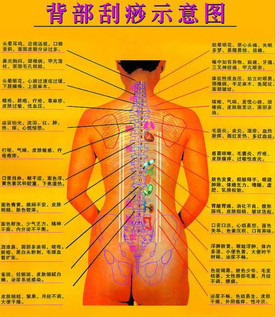 背部怎么刮痧視頻？背部刮痧手法視頻