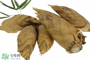 竹筍什么時候長出來？竹筍幾月份長出來？