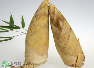 竹筍什么時候長出來？竹筍幾月份長出來？