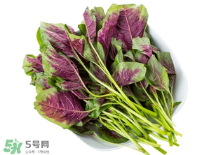孕婦能吃莧菜嗎？孕婦可以吃莧菜嗎？
