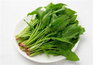 孕婦可以吃菠菜嗎？孕婦菠菜吃多了會(huì)怎樣？