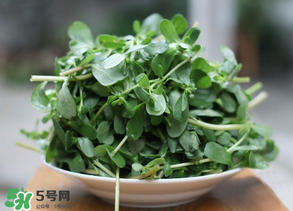 馬齒莧能治白發(fā)嗎？馬齒莧可以治白發(fā)嗎？