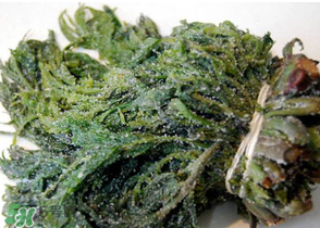 香椿腌制多久可以吃？香椿腌多長(zhǎng)時(shí)間能吃？