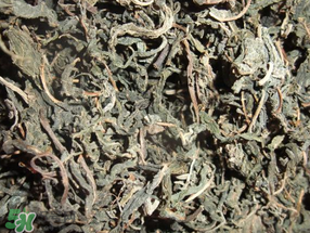 香椿可以曬干嗎？香椿怎么曬干？