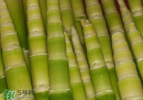 竹筍不焯水有毒嗎？竹筍不過水能吃嗎？