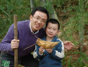 竹筍什么時(shí)候挖？竹筍幾月挖？