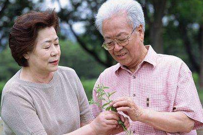 高血脂能不能吃雞蛋？血脂高可以吃雞蛋嗎