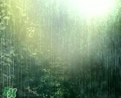 四月份會一直下雨嗎？2017年四月份為什么一直下雨？