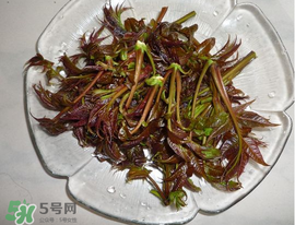 涼拌香椿要過水嗎？香椿涼拌前需要用開水焯一下嗎？