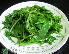 香椿生吃有毒嗎？香椿生吃好還是熟吃好？
