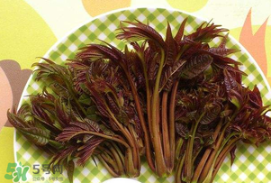 香椿芽可以冷凍嗎？香椿芽怎么冷凍？