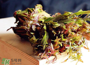 香椿很貴嗎？香椿為什么那么貴？