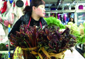 香椿很貴嗎？香椿為什么那么貴？