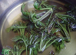 香椿為什么要用開水燙？香椿用開水燙多久？