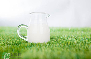 香椿可以和牛奶一起吃嗎？香椿和牛奶能一起吃嗎？