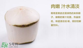 孕婦能不能喝椰青？椰青孕婦能喝嗎？