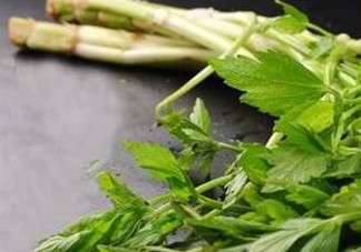 水芹菜的葉子可以吃嗎？水芹菜葉子能吃嗎