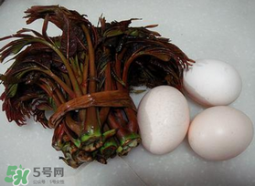 哺乳期可以吃香椿炒雞蛋嗎？哺乳期可以吃香椿炒雞蛋嗎？