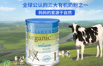 貝拉米奶粉報(bào)價多少？貝拉米奶粉價格多少？