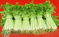 水芹菜怎么吃？水芹菜的做法