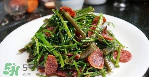 水芹菜孕婦能吃嗎？懷孕的人可以吃水芹菜嗎