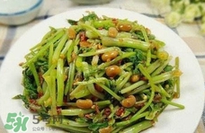吃水芹菜有什么好處？吃水芹菜有哪些好處