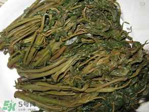 腌香椿要燙嗎？香椿腌之前用不用開水燙？