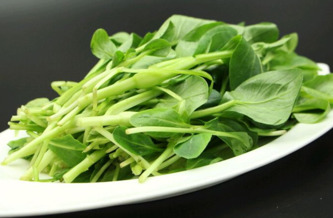 雞毛菜是什么菜？雞毛菜是小白菜嗎