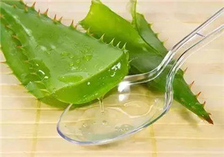 孕婦能喝蘆薈汁嗎？孕婦可以喝蘆薈汁嗎？