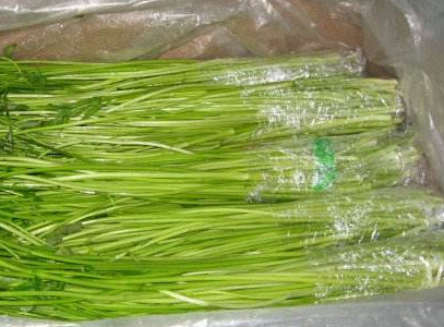 水芹菜如何保鮮？水芹菜怎么保鮮