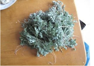 白蒿是茵陳嗎？白蒿與茵陳有什么區(qū)別