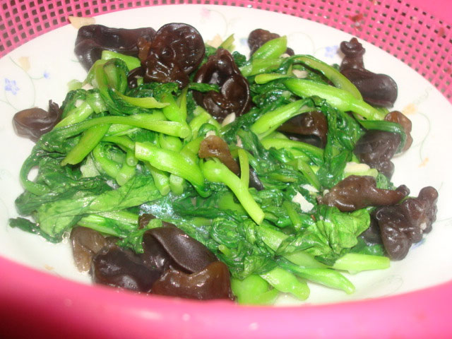 雞毛菜是什么菜？雞毛菜是小白菜嗎