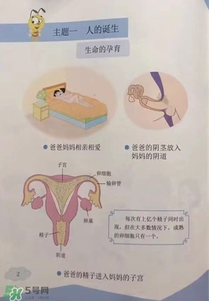 孩子瀏覽成人網(wǎng)站怎么辦？小學(xué)性教育有沒有必要？