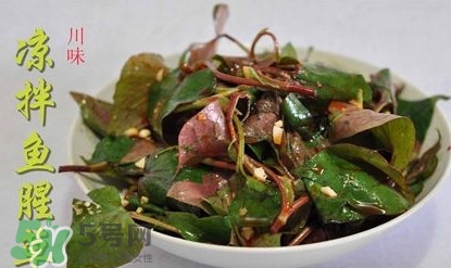 吃魚(yú)腥草可以喝酒嗎？吃魚(yú)腥草能喝酒嗎