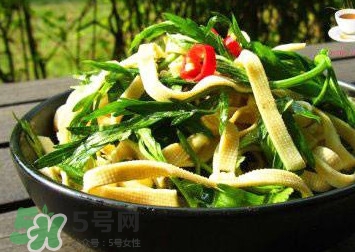 水芹菜的葉子可以吃嗎？水芹菜葉子能吃嗎