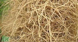 魚腥草根怎么吃？魚腥草根怎么做好吃