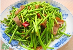 藜蒿葉子能吃嗎？藜蒿葉子可以吃嗎