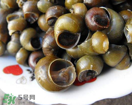 田螺可以凈化水質(zhì)嗎？田螺能凈化水質(zhì)嗎？