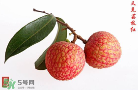 4月份有荔枝嗎？四月份有荔枝嗎？