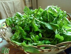 枸杞頭怎么吃？枸杞頭如何吃