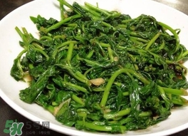 枸杞頭怎么吃？枸杞頭如何吃