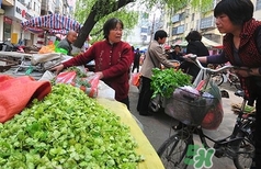 吃榆錢(qián)有什么好處?吃榆錢(qián)有什么禁忌?