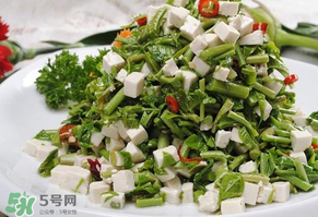 香椿可以助孕嗎？香椿有助孕的功效嗎？