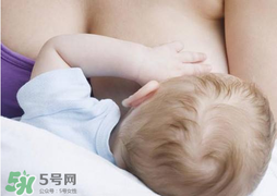 香椿會(huì)回奶嗎？吃香椿會(huì)回奶嗎？