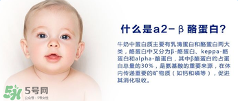 A2奶粉分幾種？A2奶粉有幾個(gè)種類(lèi)？