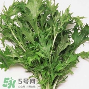 艾蒿能吃嗎？艾蒿能做菜吃嗎